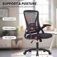 HOMCOM Office Chair, Mesh Desk Chair with Flip-up Armrests, Lumbar Support, Adjustable Height, Black(m-4)