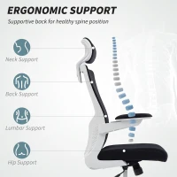 HOMCOM Ergonomic Office Chair, Swivel Desk Chair with Adjustable Lumbar Support, Headrest and Height, Flip-up Armrests, Black(m-4)