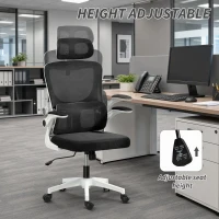 Vinsetto High Back Office Chair, Mesh Computer Desk Chair with Rotatable Headrest, Lumbar Back Support, Adjustable Height, Black(m-4)