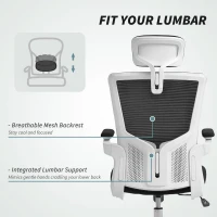 HOMCOM Ergonomic Office Chair, Swivel Desk Chair with Adjustable Lumbar Support, Headrest and Height, Flip-up Armrests, Black(m-5)
