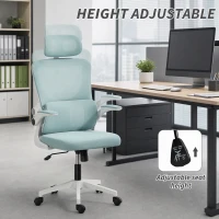 Vinsetto High Back Office Chair, Mesh Computer Chair with Rotatable Headrest, Lumbar Back Support, Adjustable Height, Light Blue(m-4)