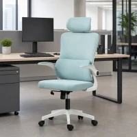 Vinsetto High Back Office Chair, Mesh Computer Chair with Rotatable Headrest, Lumbar Back Support, Adjustable Height, Light Blue(m-8)