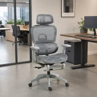HOMCOM Ergonomic Office Chair with Lumbar Support, Mesh Office Chair with 3D Armrest, 135° Reclining, Adjustable Headrest, Grey(m-1)