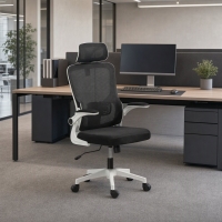 Vinsetto High Back Office Chair, Mesh Computer Desk Chair with Rotatable Headrest, Lumbar Back Support, Adjustable Height, Black