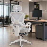 HOMCOM Mesh Desk Chair with Adjustable Headrest, Reclining Ergonomic Office Chair with Footrest, Light Grey(m-1)