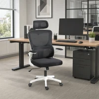 Vinsetto High Back Office Chair, Mesh Computer Desk Chair with Rotatable Headrest, Lumbar Back Support, Adjustable Height, Black(m-8)