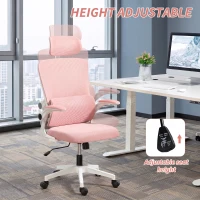 Vinsetto High Back Office Chair, Mesh Computer Desk Chair with Rotatable Headrest, Lumbar Back Support, Adjustable Height, Pink(m-4)