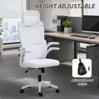 Vinsetto High Back Office Chair, Mesh Computer Chair with Rotatable Headrest, Lumbar Back Support, Adjustable Height, Cream White(m-4)