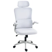 Vinsetto High Back Office Chair, Mesh Computer Chair with Rotatable Headrest, Lumbar Back Support, Adjustable Height, Cream White(m-2)