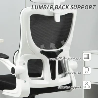 Vinsetto High Back Office Chair, Mesh Computer Desk Chair with Rotatable Headrest, Lumbar Back Support, Adjustable Height, Black(m-6)