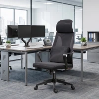 Vinsetto Office Chair High Back, Ergonomic Mesh Computer Chair Executive Task Chair with Massage Lumbar Support & Headrest Rocking(m-1)