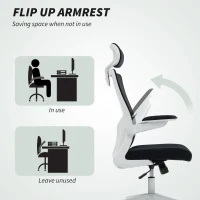 HOMCOM Ergonomic Office Chair, Swivel Desk Chair with Adjustable Lumbar Support, Headrest and Height, Flip-up Armrests, Black(m-7)