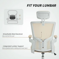 HOMCOM Ergonomic Office Chair, Swivel Desk Chair with Adjustable Lumbar Support, Headrest and Height, Flip-up Armrests, Beige(m-5)