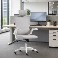 HOMCOM Ergonomic Mesh Office Chair, High Back Desk Chair with Rotatable Headrest, Flip-Up Armrests, Lumbar Support, Grey, White(m-1)