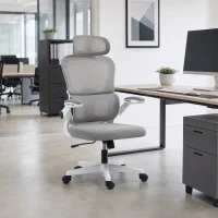 HOMCOM Mesh Office Chair, Ergonomic Desk Chair with Flip-up Armrest, Rotatable Headrest, Adjustable Lumbar Support, Grey(m-1)