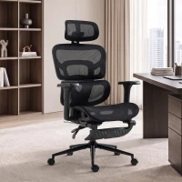 HOMCOM Ergonomic Office Chair with Lumbar Support, 2D Headrest, Mesh Reclining Desk Chair with Footrest, Swivel Wheels, Black(m-10)