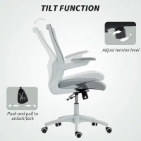 HOMCOM Ergonomic Office Chair, Swivel Desk Chair with Adjustable Lumbar Support and Height, Flip-up Armrests, Wheels, Grey(m-7)