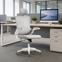 HOMCOM Ergonomic Mesh Office Chair, High Back Desk Chair with Rotatable Headrest, Flip-Up Armrests, Lumbar Support, Grey, White(m-8)