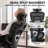 HOMCOM Ergonomic Office Chair with Lumbar Support, 2D Headrest, Mesh Reclining Desk Chair with Footrest, Swivel Wheels, Black(m-4)