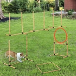 PawHut 4PC Portable Pet Agility Training Set Hurdle for Dog Obstacle Exercise with Adjustable Height Jump Ring High Jumper Weave Poles Square Pause Box Carry Bag Whistle Orange and White
