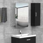kleankin Wall Mount Bathroom Mirror Cabinet with Shelves Storage Organizer Stainless Steel Double Doors(c-5)