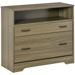 Vinsetto Lateral File Cabinet with Shelf, Office Storage Cabinet with 2 Drawers, Fits Letter Sized Papers, Charcoal Grey