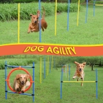 PawHut Dog Pet Obstacle Agility Training Kit High Jump Weave Pole Ring Obedience Equipment Portable