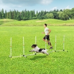 PawHut Sturdy Dog Weave Poles Pet Agility Training Dogs Obstacle Outdoor w/ Storage