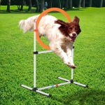 PawHut Outdoor 2-in-1 Dog Obstacle Training Agility Equipment Tire Jump Ring/Hurdle Bar