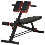 Soozier Adjustable Hyper Extension Bench Dumbbell Weight Ab Multifunction Workout Press