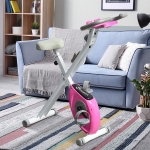 Soozier Foldable Magnetic Exercise Bike with Adjustable Resistance Indoor Stationary Upright Fitness Bike X Bike Digital Monitor with Tablet/Phone Holder for Health & Fitness, Pink