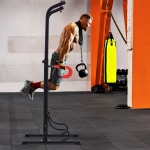 Soozier Power Tower Pull Up Bar Dip Station for Home Office Gym Multi-Function Workout Equipment