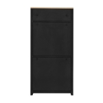 Vinsetto Functional Shoe Cabinet with 2 Flip Drawers, Wood Grain Top, Adjustable Shoe Rack, Free Standing Shoe Cabinet, 24" L x 9.5" W x 47.5" H, Black