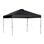 Outsunny 10' x 10' Pop Up Canopy Tent with Airy Top Vents and Wheeled Carry Bag for Outdoor, Garden, Patio, Black