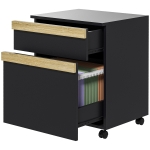 Vinsetto Mobile Filing Cabinet with 2 Drawers, Office Storage Cabinet with 5 Wheels, Black Wood Grain