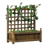 Outsunny Garden Planter with Trellis for Climbing Vines, Wood Raised Garden Bed, Planter Box for Garden, Indoor Outdoor, Coffee