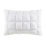 Luxuriously Soft Overfilled Pillow Protector with 100% Polyester Microfiber, 3D Puff Stitching, Zipper Closure, 36" L x 20" W x 0.13" H, White