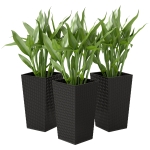 Outsunny Set of 3 Tall Plant Stand, Outdoor & Indoor Flower Pot Set for Front Door, Entryway, Patio and Deck, Black