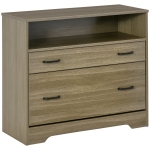 Vinsetto Lateral File Cabinet with Shelf, 2 Drawer Filing Cabinet for Letter Sized Papers, Print Stand, Charcoal Grey