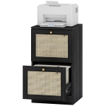 HOMCOM 2 Drawer Filing Cabinet with Lock, Boho File Cabinet for A4 Letter Size Files with Decorative Rattan Accents, Black