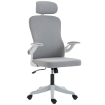 HOMCOM Ergonomic Office Chair, Swivel Desk Chair with Adjustable Lumbar Support, Headrest and Height, Flip-up Armrests, Grey