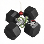 Soozier Hex Rubber Dumbbell Set for No Rolling