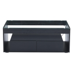 High-Gloss Coffee Table with App-Controlled RGB LED Strip, Spacious Center Table with Open Double-Layer Storage, 39.5" L x 19.5" W x 15.5" H, Black