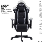 Ergonomic Gaming Chair with Adjustable Lumbar and Headrest Pillows, Cozy Computer Seat for Office and Gaming, 27.5"L x 20.5"W x 53"H, Black