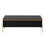 Modern High-Gloss Coffee Table with Hidden Dual Drawers, Stain-Resistant Center Table with Metal Legs, 39.5'' L x 19.5'' W x 14'' H, Black