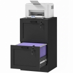 HOMCOM Vertical Filing Cabinet with 2 Drawers, Lock, File Cabinet for Home Office, A4 and Letter Size Files, Black