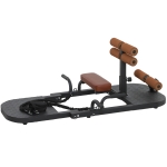 Soozier Foldable Sissy Squat Machine, Hip Thrust Machine with Push Up Stand, Multipurpose Glute Workout Equipment, Black