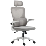 Vinsetto Ergonomic Office Chair, Mesh Computer Desk Chair with Adjustable Headrest, 4D Lumbar Support, Flip-up Arm, Grey