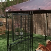 PawHut 4.6' X 4.6' X 5' Outdoor Dog Kennel With Walk-In Design, Steel Frame & UV-Resistant Canopy, Black