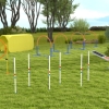 PawHut 7 Piece Dog Agility Taining Equipment, Dog Obstacle